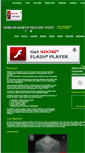 Mobile Screenshot of naimunnaseer.com